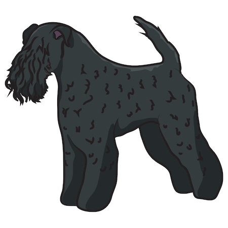 Signmission Kerry Blue Terrier Dog Decal, Dog Lover Decor Vinyl Sticker D-12-Kerry Blue Terrier